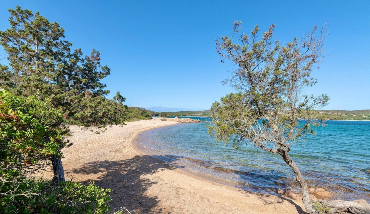 Residence Con Piscina A Palau, A Soli 150 Mt. Dal Mare 외부 사진